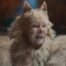 Judi Dench Laments 