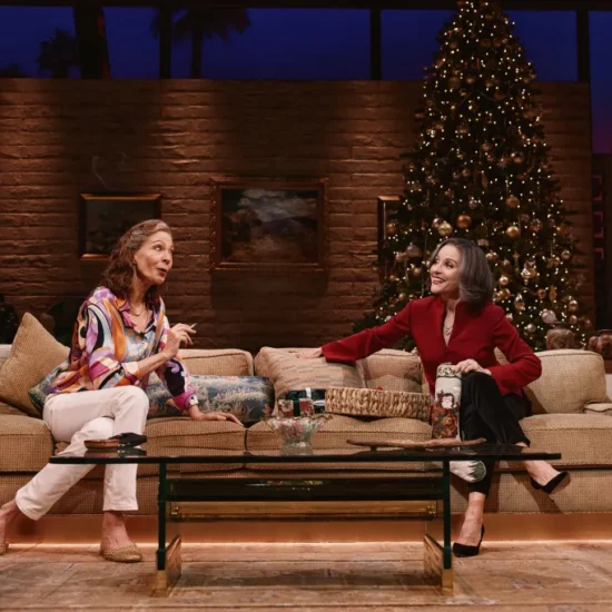'Other Desert Cities' Broadway Review: Julia Louis-Dreyfus Gets Serious