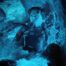 'Whalefall' Review: Austin Abrams Grieves Inside Grotesque Whale Innards