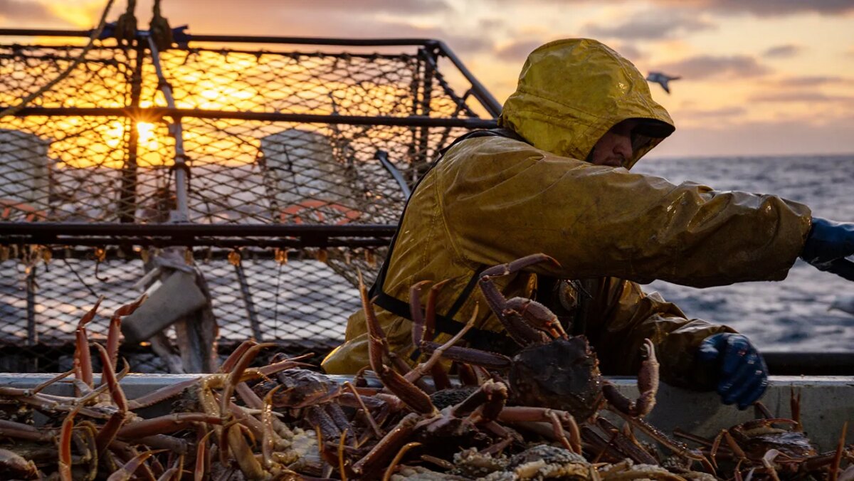 Wizard crew sorting crab on table sunset in the background on Deadliest Catch