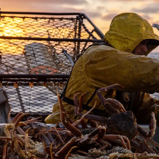 Wizard crew sorting crab on table sunset in the background on Deadliest Catch