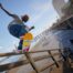 ‘Many’ staff gone from Skate studio Full Circle as part of EA layoffs